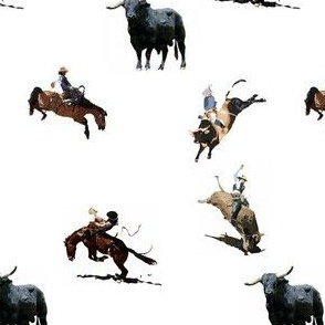 Broncs & Bulls