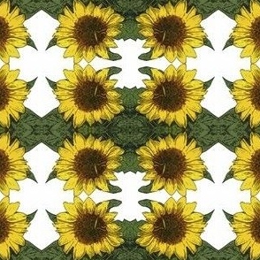 Sunny Sunflower 