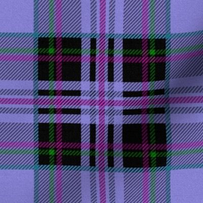 Classic Plaid ~ Andrea