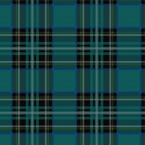 Classic Plaid ~ Vincent