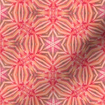 red coral kaleidoscope 