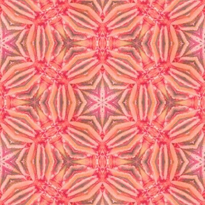 red coral kaleidoscope 