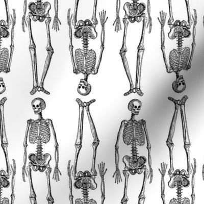 Skeleton Pattern