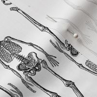 Skeleton Pattern