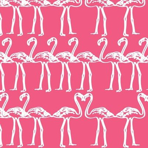 Flamingo love 2