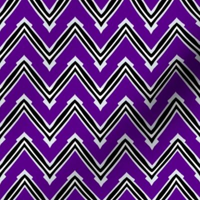 Purple and Black Capped Chevron