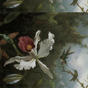 Two Hummingbirds Above a White Orchid: Heade