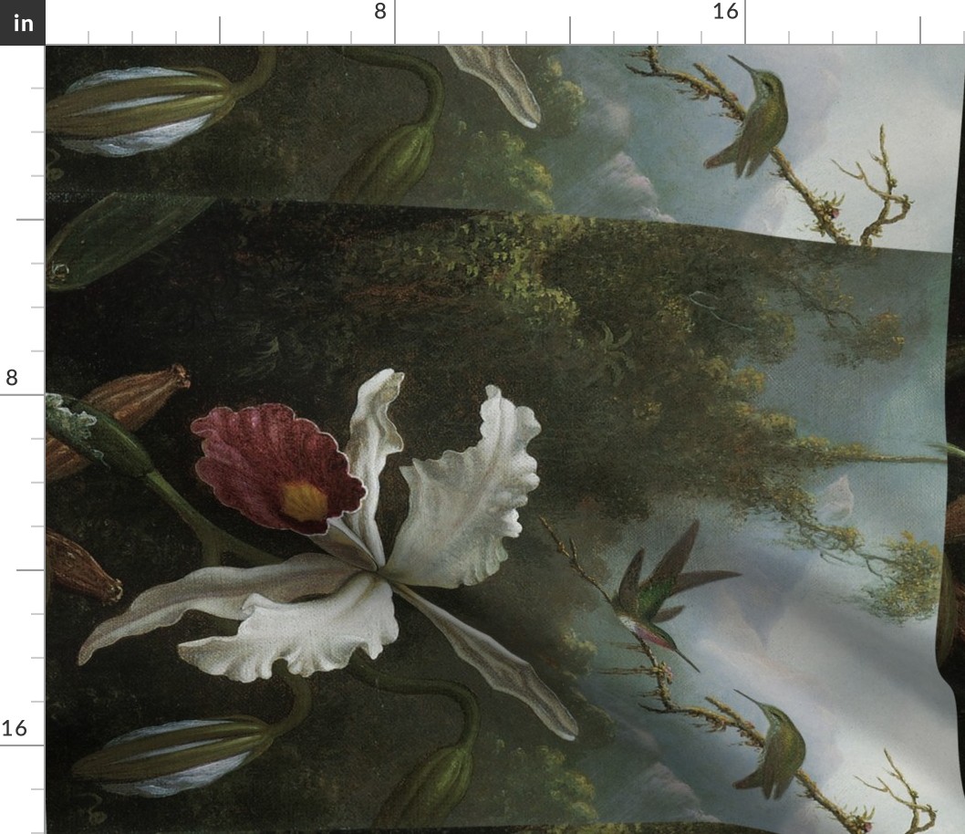 Two Hummingbirds Above a White Orchid: Heade