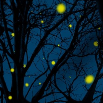 Summer Magic ~ Fireflies In Trees