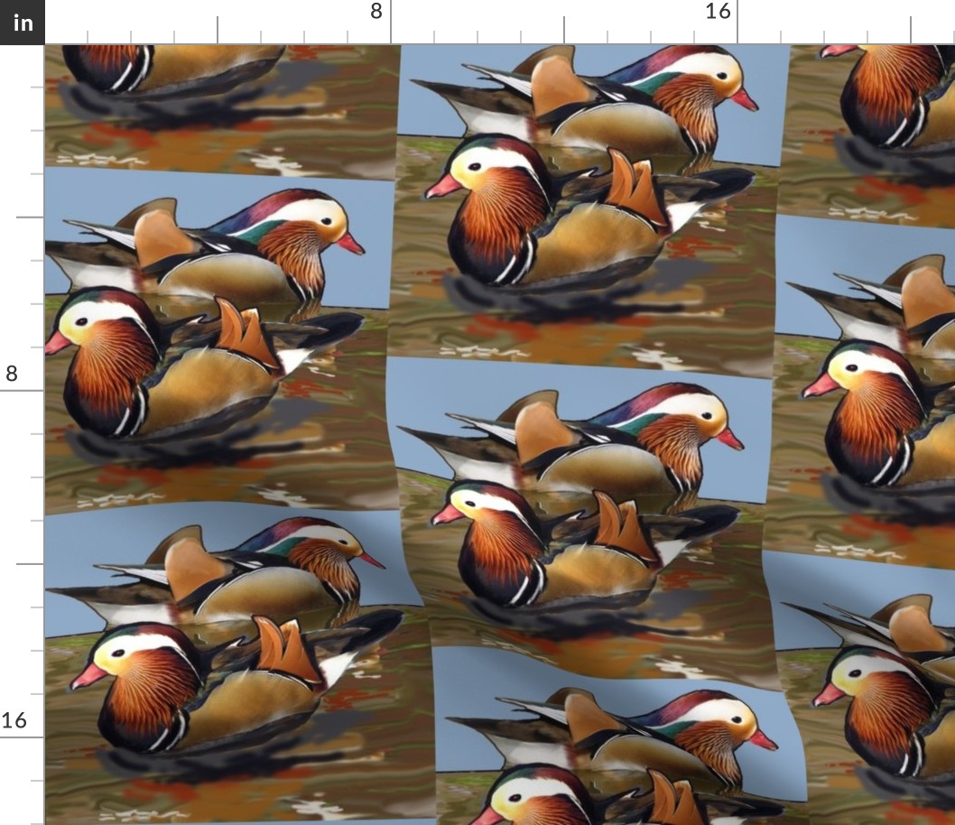 mandarin_ducks