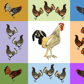 roosters_uneven_9_patch_C