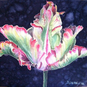 Tulip 2