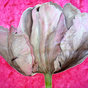 Tulip_11