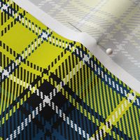 01980052 : tartan : synergy0001