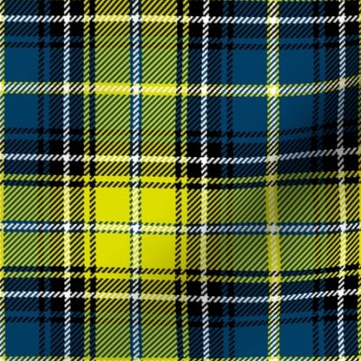 01980052 : tartan : synergy0001