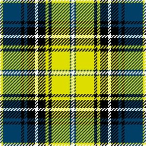 01980052 : tartan : synergy0001