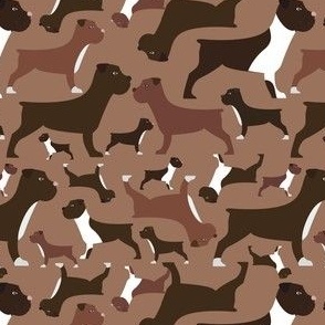 Boxer, bulldog on brown background