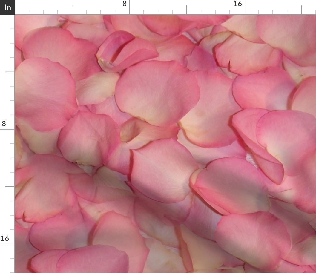 Rose's Petals ~ Large