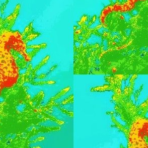 Seahorses11-aqua/orange