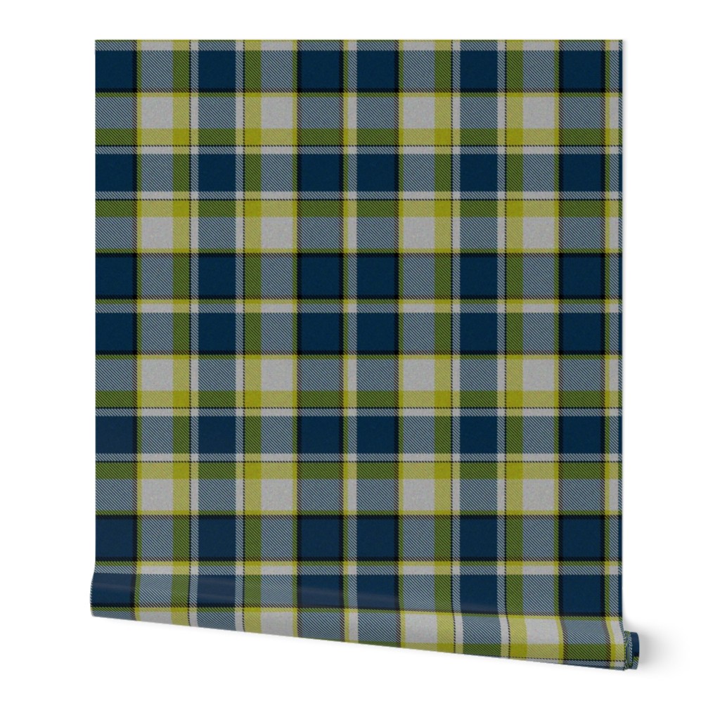 Firefly Plaid 5eclectic synergy0001