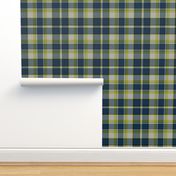 Firefly Plaid 5eclectic synergy0001