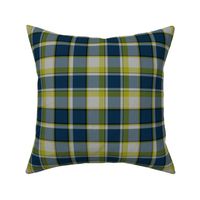 Firefly Plaid 5eclectic synergy0001