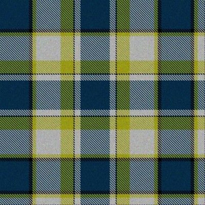 Firefly Plaid 5eclectic synergy0001