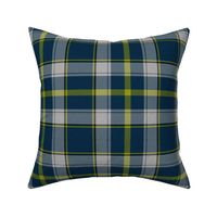 Firefly Plaid 4eclectic synergy0001