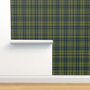 Firefly Plaid 1eclectic