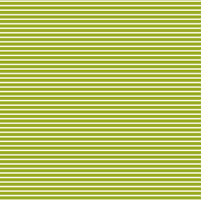 Tiny Green Stripes