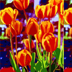 Tulip_Garden_Morning