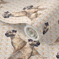 Border Terriers and paisley