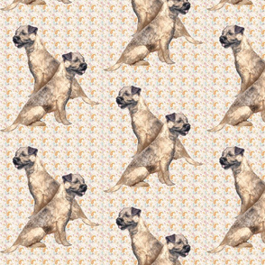 Border Terriers and paisley