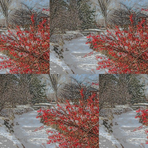 Winter_Red_Berries_and_Bridge_3-color_pencil__1_14_12__Wash_Park__IMG_enlarge_PAINT__17x13__png