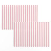 Pink & White Stripe | Half-Inch Wide Stripes