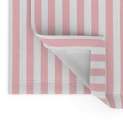 Pink & White Stripe | Half-Inch Wide Stripes