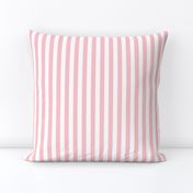 Pink & White Stripe | Half-Inch Wide Stripes