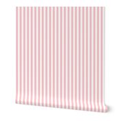 Pink & White Stripe | Half-Inch Wide Stripes