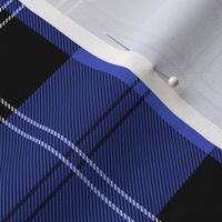 Ramsay Hunting Tartan in Blue