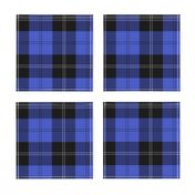 Ramsay Hunting Tartan in Blue