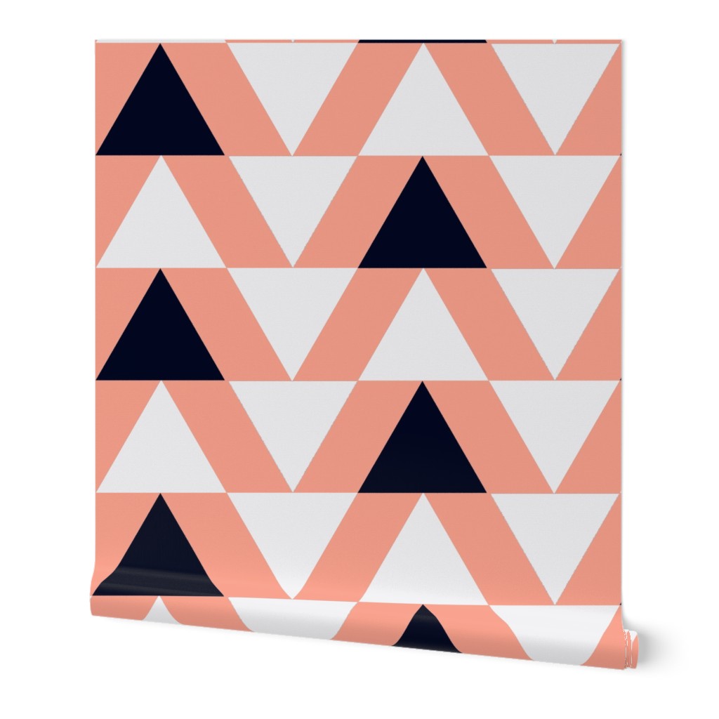 black and white triangles on coral