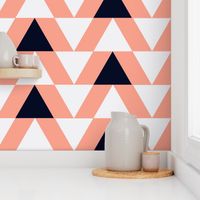 black and white triangles on coral