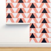 black and white triangles on coral