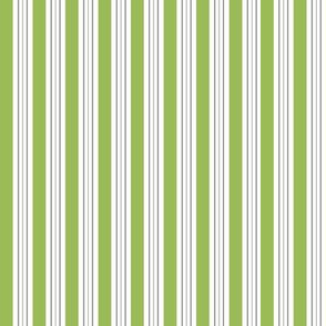 gray_green_stripe