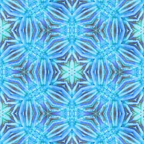 Blue Coral Kaleidoscope