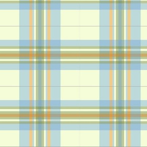 the_professional_plaid_people