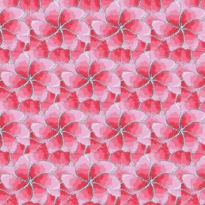 Petunia pink flower 01