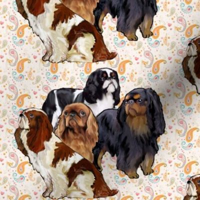 English_Toy_Spaniels