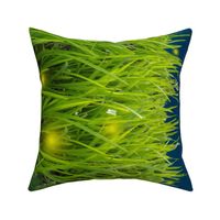 Fireflies In the Grass Border Print