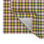 plaid_7_ Made to order 2